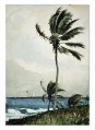Palme Realismus Marinemaler Winslow Homer